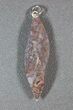 Blue/Pink/Green Dinosaur Gembone Twist Pendant #22522-1